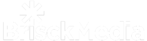 brisck media logo for dark